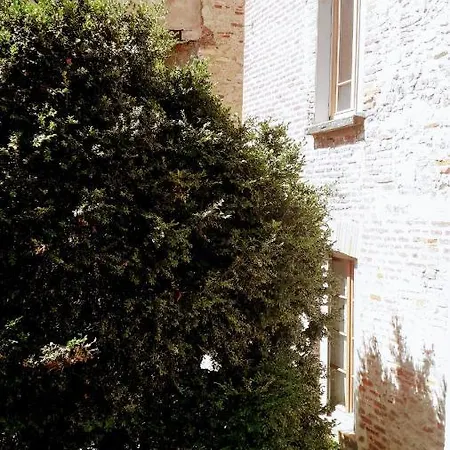 Apartment Coeur Historique T3 Dans Batisse Xveme Cahors